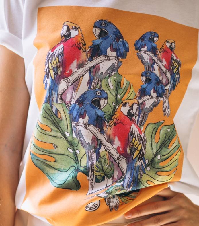 Direct to Film DTF (Direct to Film)